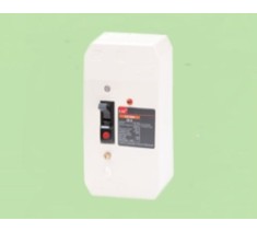 CẦU DAO CHỐNG GIẬT ELCB LS 202